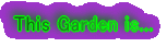 This Garden is...